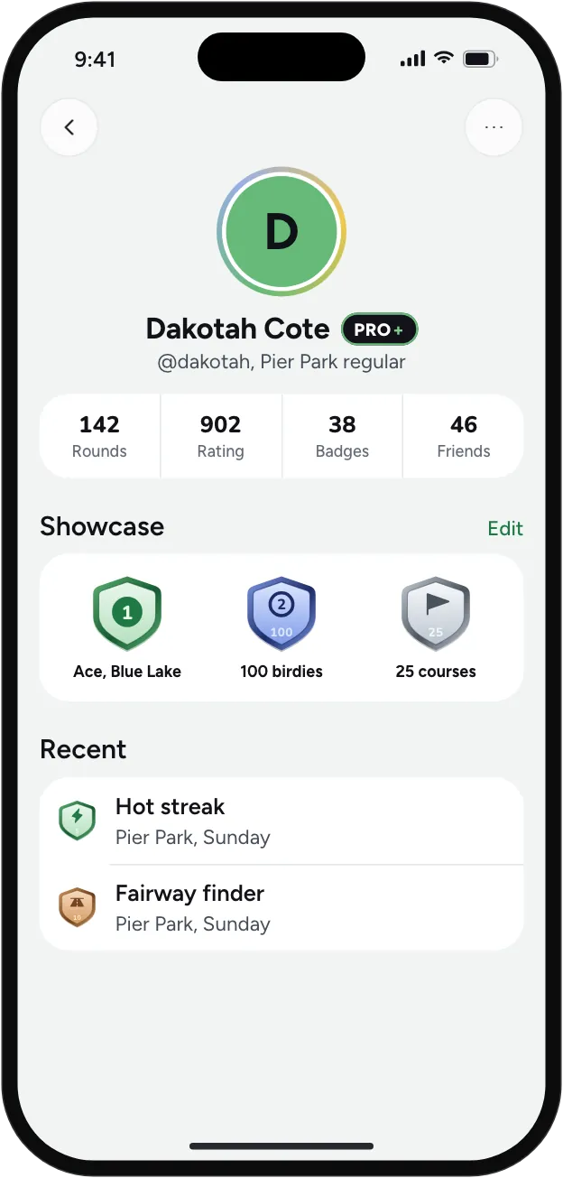 A profile with three badges pinned to the showcase.